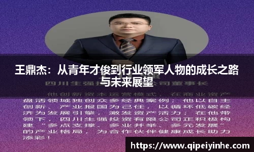 王鼎杰：从青年才俊到行业领军人物的成长之路与未来展望
