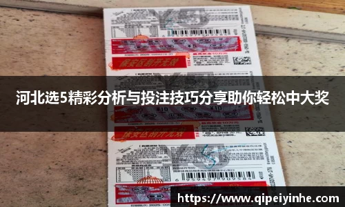 河北选5精彩分析与投注技巧分享助你轻松中大奖