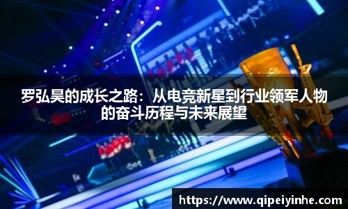 罗弘昊的成长之路：从电竞新星到行业领军人物的奋斗历程与未来展望
