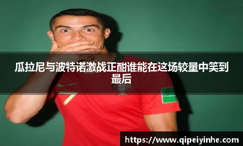 瓜拉尼与波特诺激战正酣谁能在这场较量中笑到最后